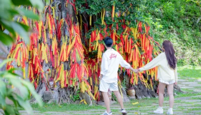 khu-tam-linh-moc-than-yang-bay