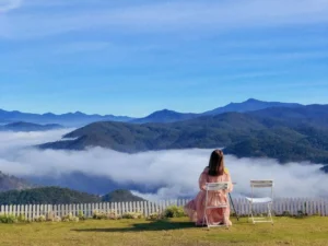 san-may-doi-che-cau-dat-dalat