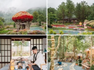 Khu-du-lich-rung-thong-nui-voi