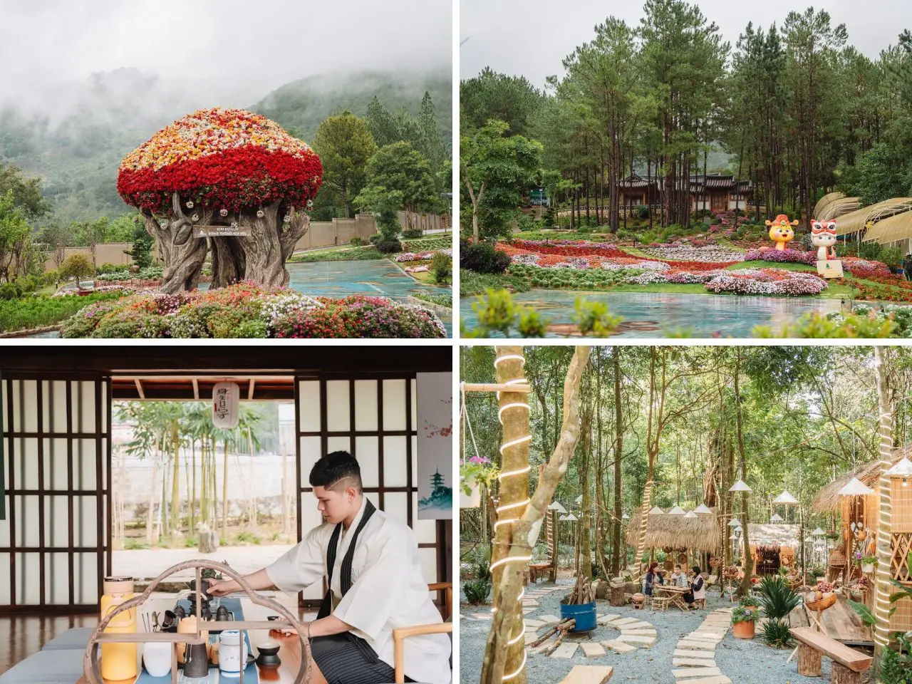 Khu-du-lich-rung-thong-nui-voi