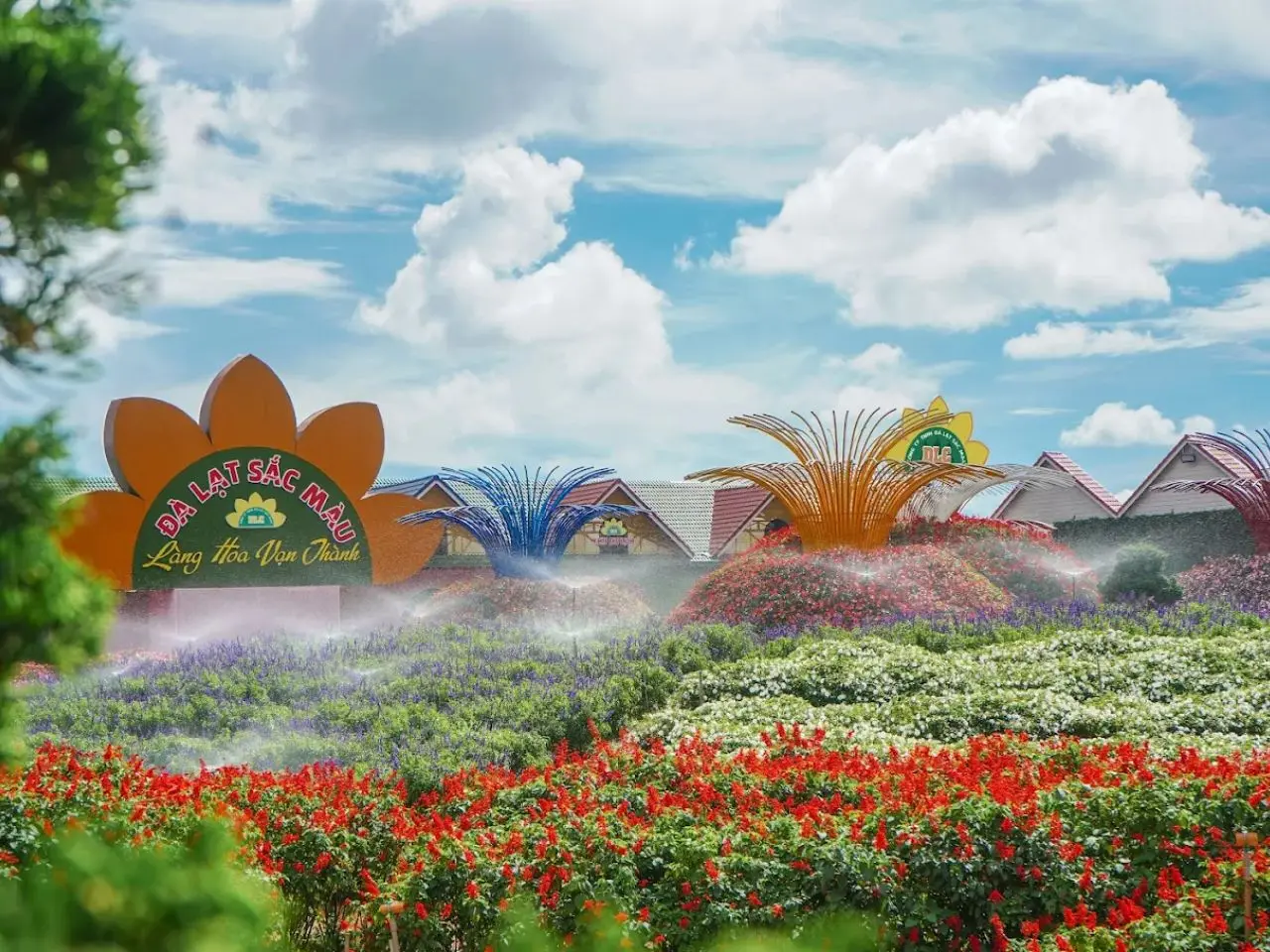 Hình ảnh Làng Hoa Vạn Thành Đà Lạt