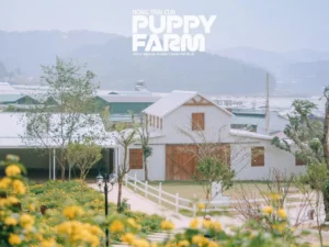 puppy-farm-dalat