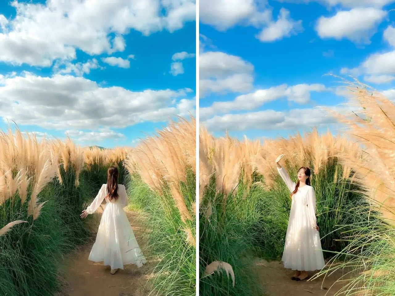 vuon-hoa-co-lau-du-lich-da-lat-thang-7