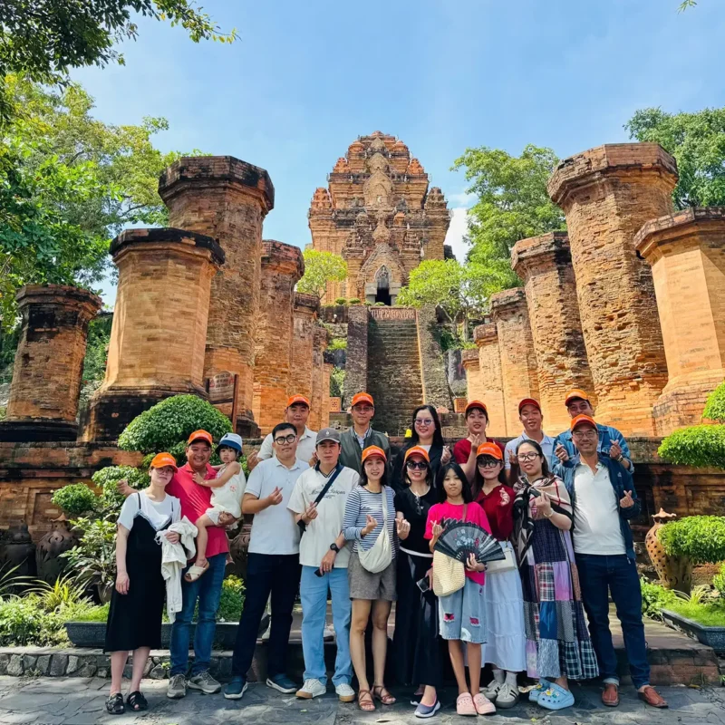 cong-ty-tnhh-dls-thap-ba-ponagar