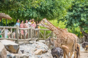 king-garden-vinpearl-safari-nha-trang