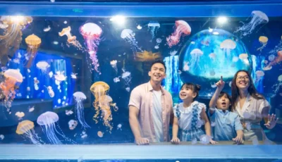 thuy-cung-vinwonders-nha-trang