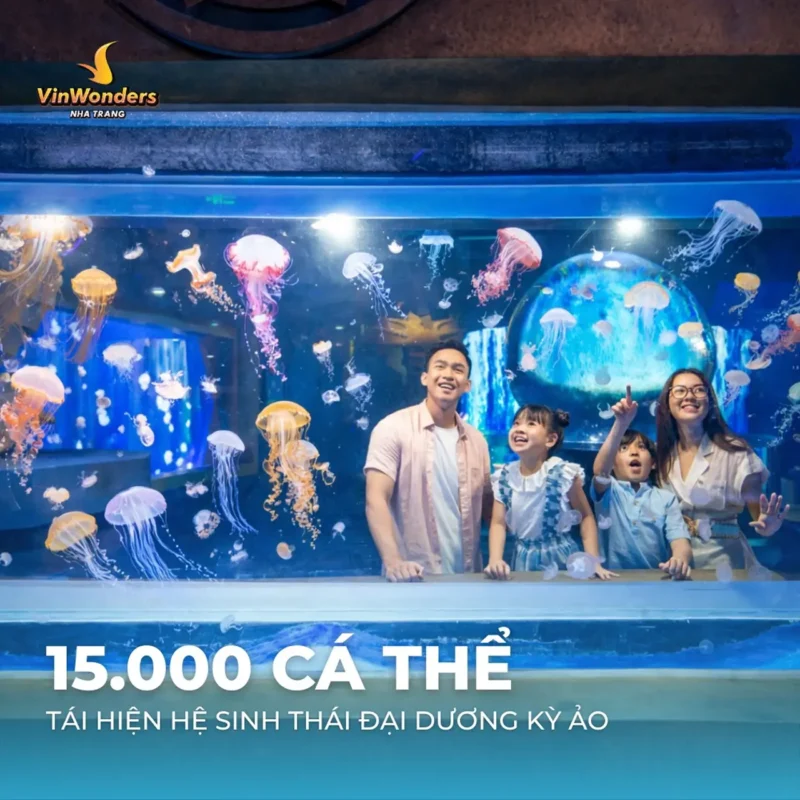 thuy-cung-vinwonders-nha-trang