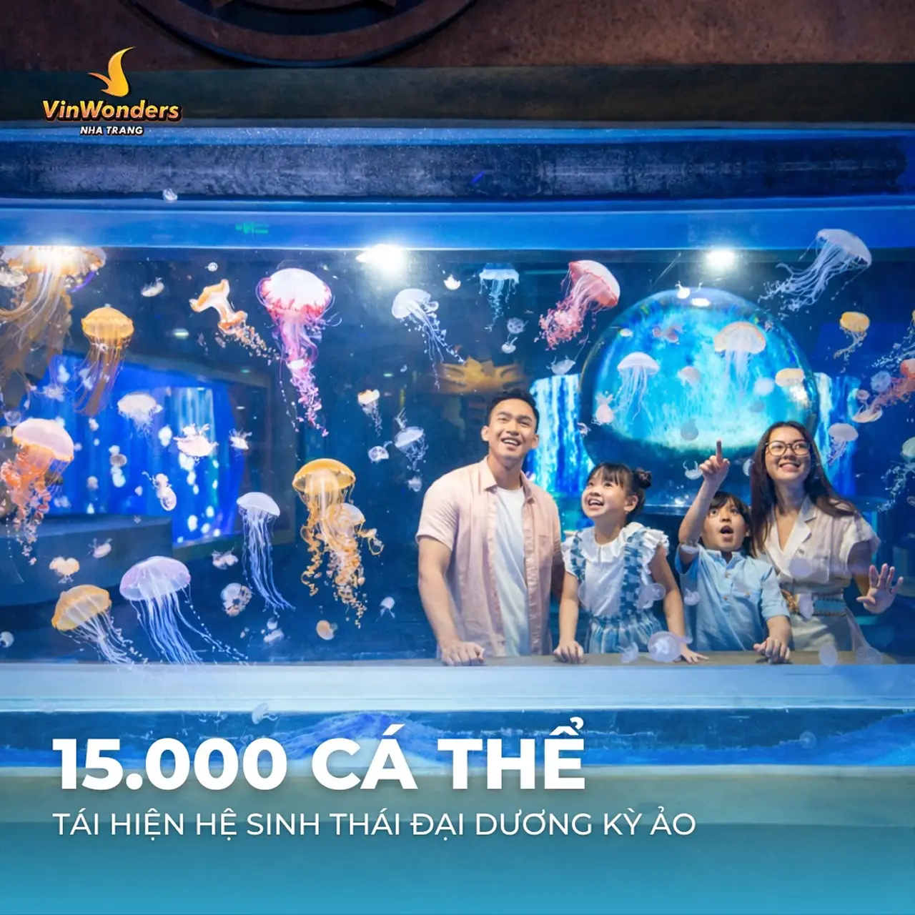 15000 cá thể sinh vật biển tại thủy cung Vinpearl Nha Trang