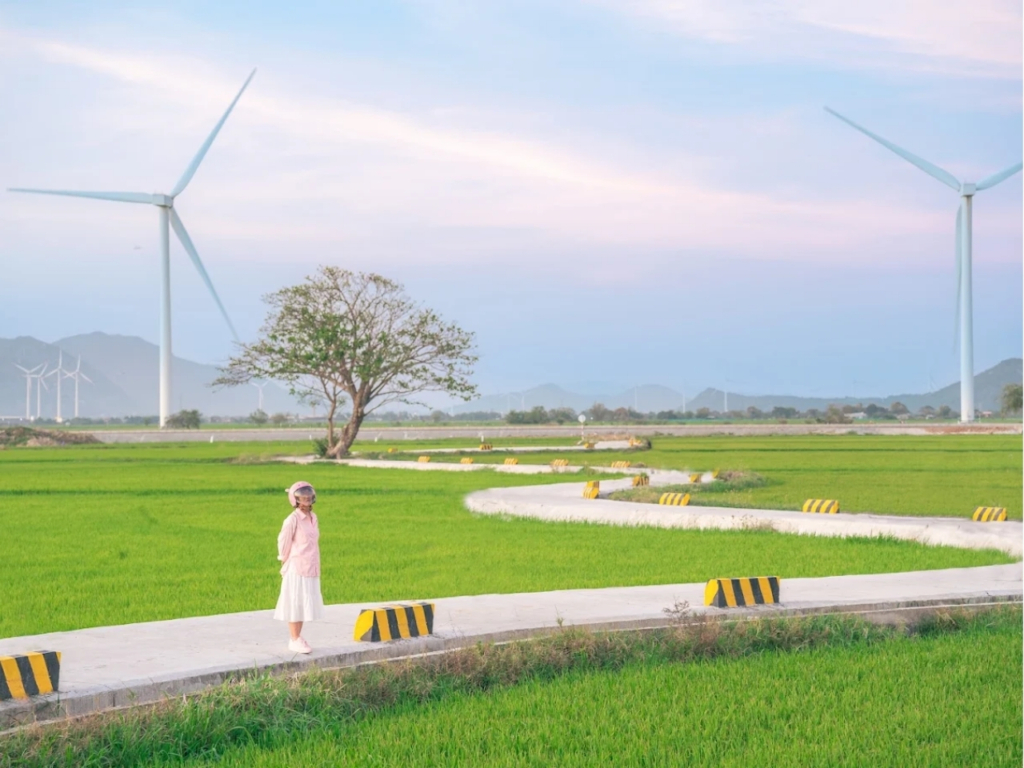 canh-dong-dien-gio-Dam-Nai