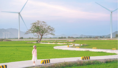 canh-dong-dien-gio-Dam-Nai