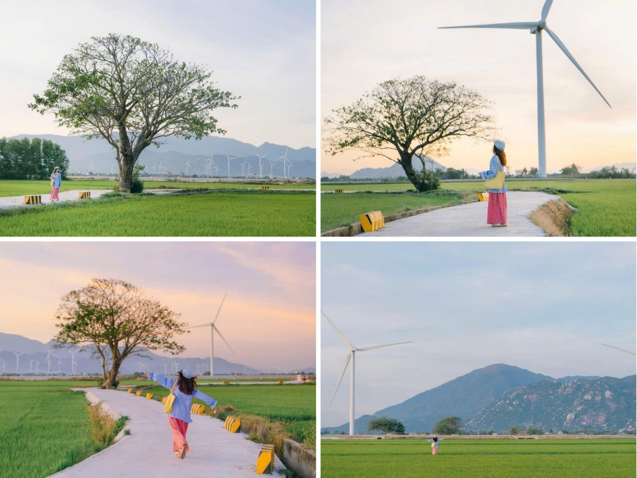 du-khach-check-in-canh-dong-dien-gio-Dam-Nai