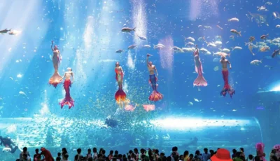 thuy-cung-vinwonders-phu-quoc