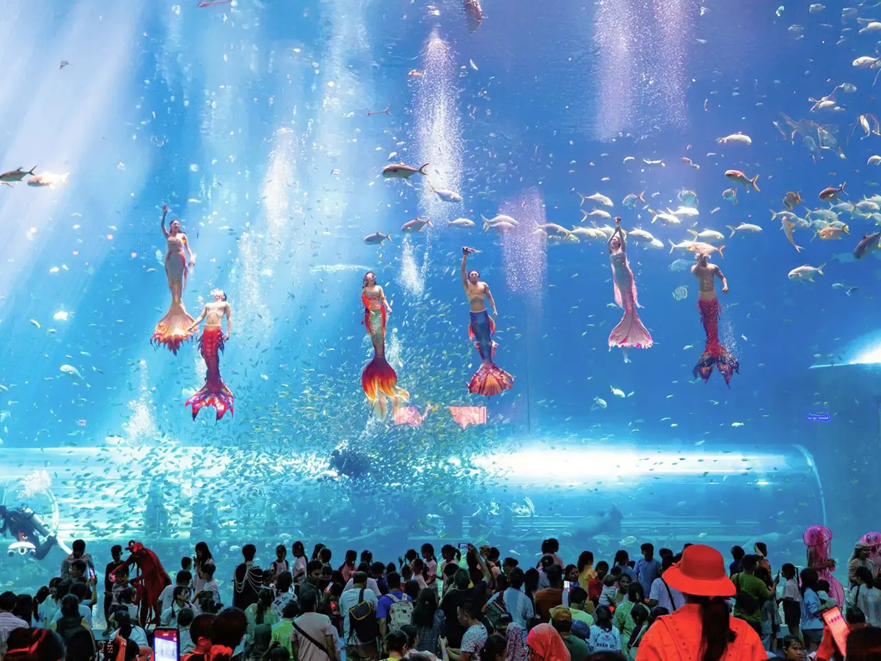 Du khách tham quan và xem show nàng tiên cá tại thủy cung VinWonders Phú Quốc