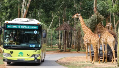 vinpearl-safari-phu-quoc