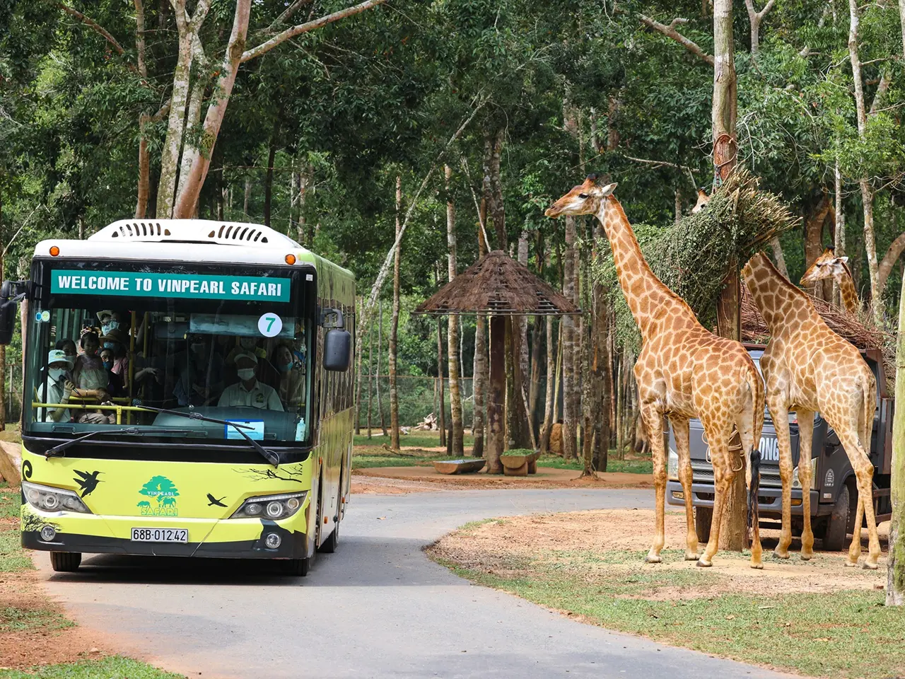 Du khách tham quan khu Vinpearl Safari Phú Quốc bằng xe bus điện