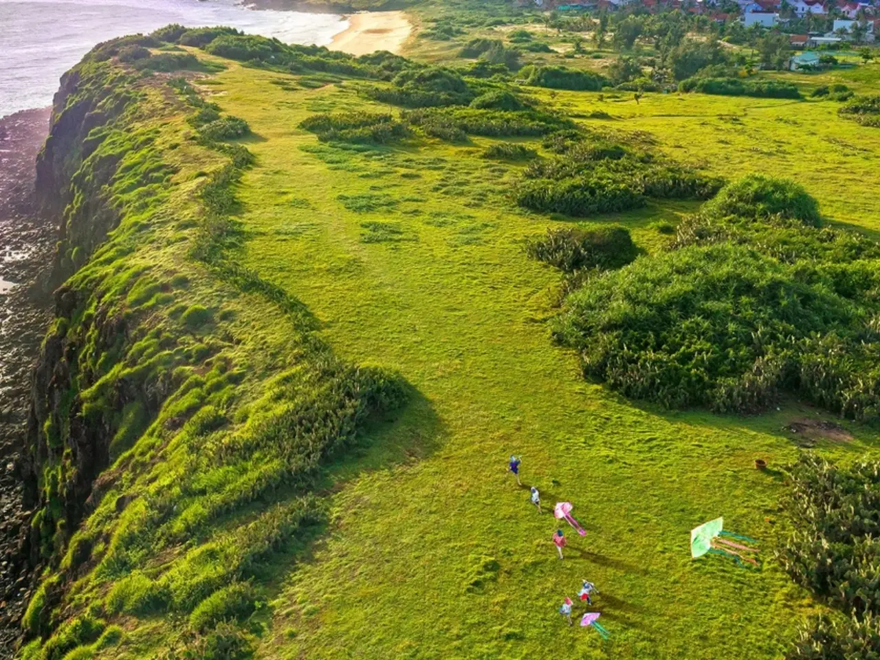 Bãi Xếp Phú Yên địa điểm được lựa chọn trong bộ phim nổi tiếng "Tôi thấy hoa vàng trên cỏ xanh"