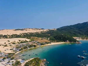 Đam-mon-Nha-Trang