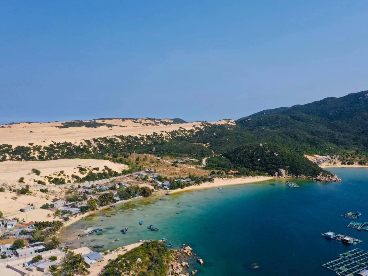 Đam-mon-Nha-Trang