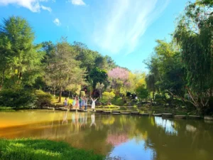 check-in-thung-lung-vang-da-lat