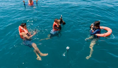du-khach-trai-nghiem-lan-bien-ngam-san-ho-tren-tour-nemo-yacht-vinh-ninh-van