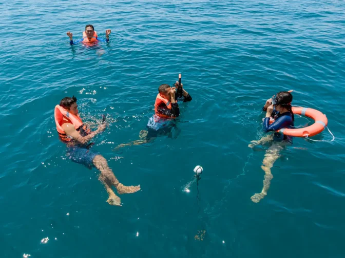 du-khach-trai-nghiem-lan-bien-ngam-san-ho-tren-tour-nemo-yacht-vinh-ninh-van