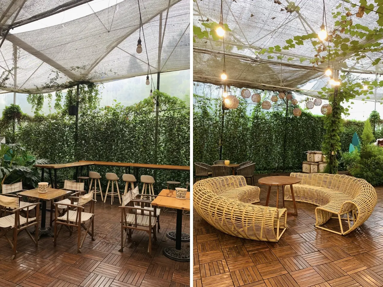 F Cánh Đồng Hoa Đà Lạt – Tọa độ check-in "triệu view" cực chill không thể bỏ lỡ!