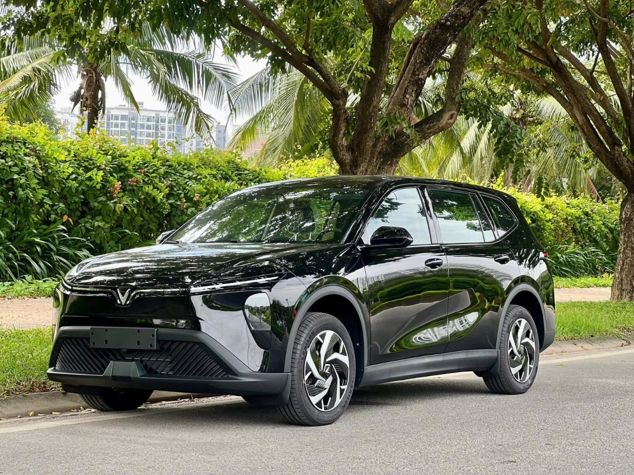 Thuê xe điện Limo Green Nha Trang đi tour