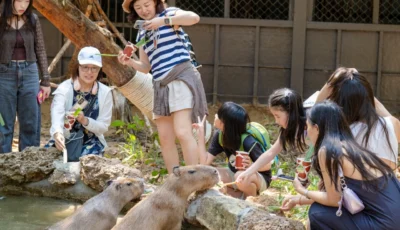 cho-dong-vat-an-tai-safari-phu-quoc