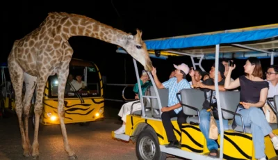 night-safari-phu-quoc