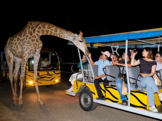 night-safari-phu-quoc