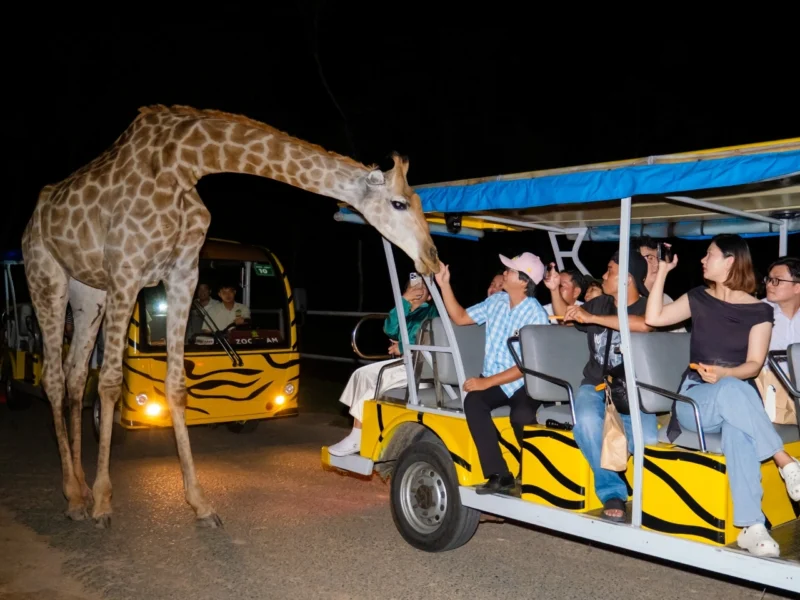 night-safari-phu-quoc