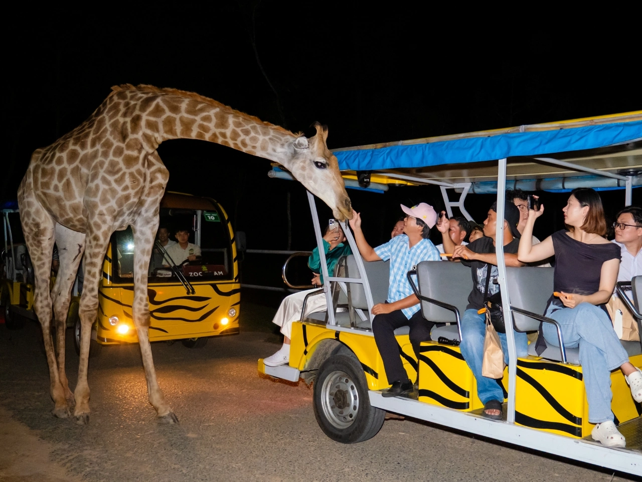 Du khách hào hứng trải nghiệm hành trình khám phá Night Safari về đêm. Du khách hào hứng trải nghiệm hành trình khám phá Night Safari về đêm.